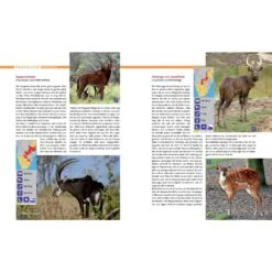 AFRIKA SAFARI REISEFÜHRER - Reiseführer 10 AFRIKA SAFARI REISEFÜHRER - Reiseführer -Globetrotter 5637362886 d afrika safari reisefuehrer 24