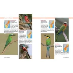 AFRIKA SAFARI REISEFÜHRER - Reiseführer 11 AFRIKA SAFARI REISEFÜHRER - Reiseführer -Globetrotter 5637362886 e afrika safari reisefuehrer 24