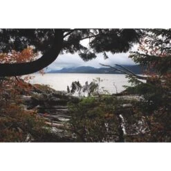 Globetrotter -Globetrotter 5637642723 b die hoffnung und der wolf 24